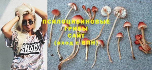 а пвп мука Алексеевка