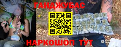 шишки Бийск
