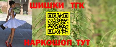 шишки Бийск