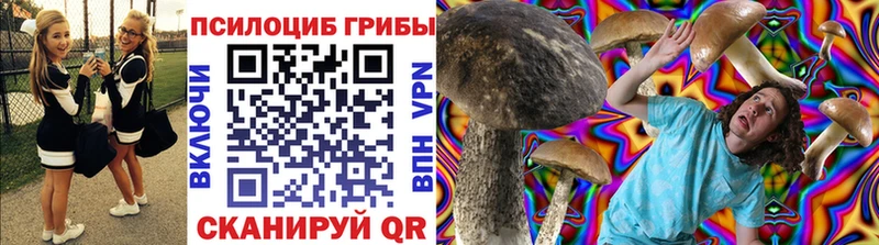 MEGA ссылка  Казань  Псилоцибиновые грибы Psilocybe 