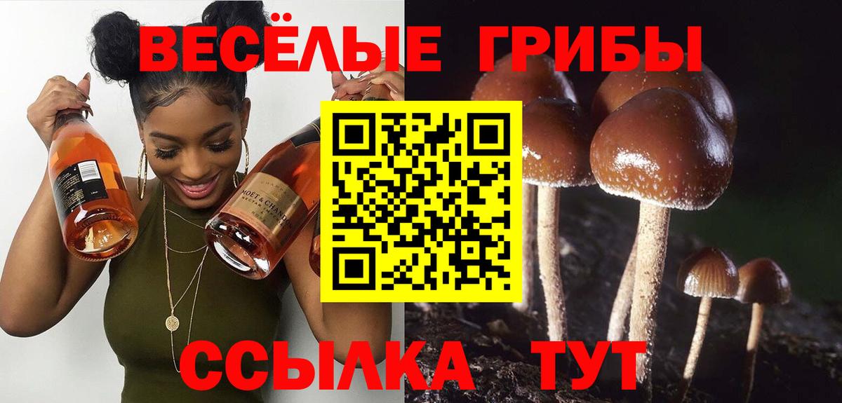 Казань  Галлюциногенные грибы Magic Shrooms  Вход с VPN 
